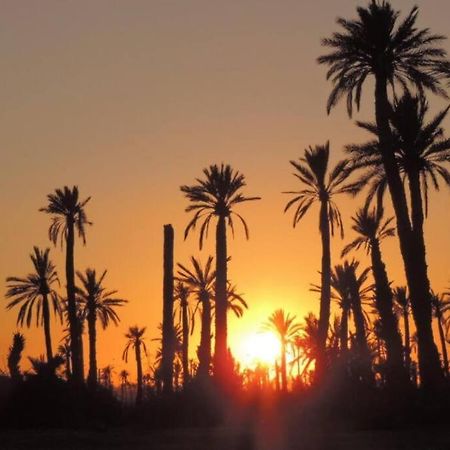 Marrakech Lejlighed Marrakesh Eksteriør billede