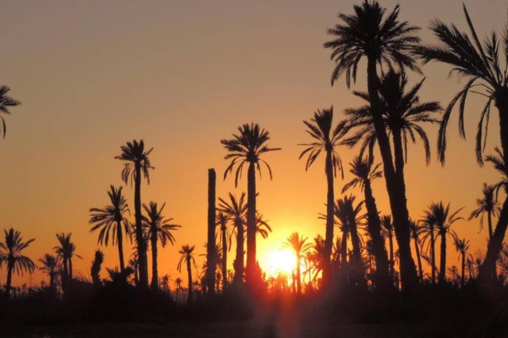 Marrakech Lejlighed Marrakesh Eksteriør billede